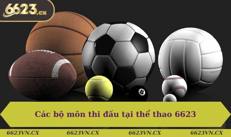 Thể thao 6623 3 Các bộ môn thi đấu tại thể thao 6623