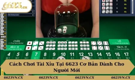 Cách chơi tài xỉu