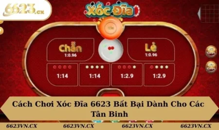 Cách chơi xóc đĩa