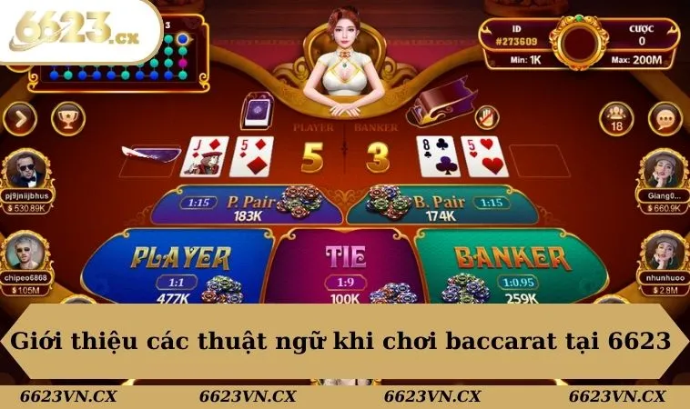 Cách Chơi Baccarat Thắng Lớn Tại Nhà Cái 6623 Cho Anh Em 2 Giới thiệu các thuật ngữ khi chơi baccarat tại 6623