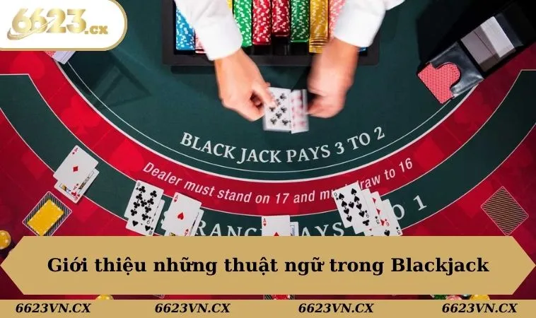 Cách Chơi Blackjack Cơ Bản Dành Cho Newbie Tại 6623 1 Giới thiệu những thuật ngữ trong Blackjack