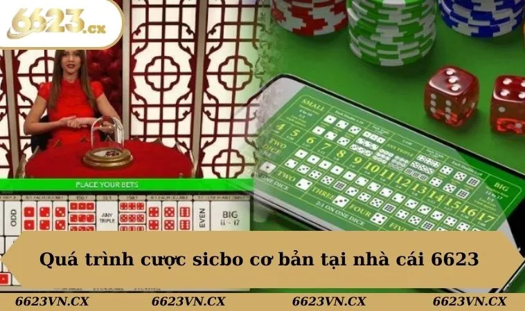 Cách Chơi Tài Xỉu Chuẩn Tại 6623 Dành Cho Các Tân Binh 2 Quá trình cược sicbo cơ bản tại nhà cái 6623