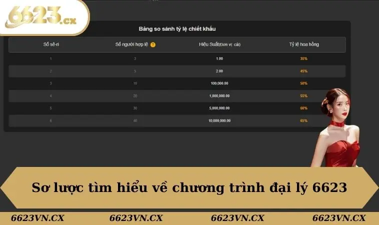 Đại lý 6623 1 Sơ lược tìm hiểu về chương trình đại lý 6623